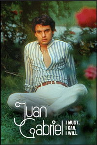 Limited Series Poster