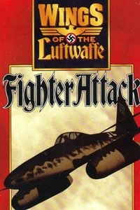 Wings of the Luftwaffe Poster