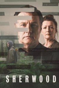 Series 1 Poster