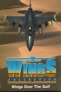 Wings Over the Gulf Poster