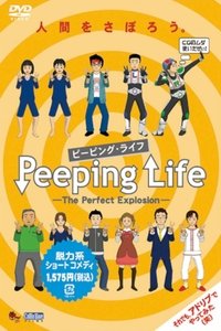 The Perfect Explosion Poster