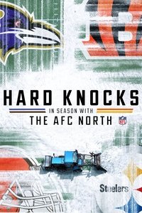 The AFC North Poster