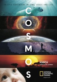 A Spacetime Odyssey Poster