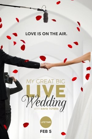 My Great Big Live Wedding with David Tutera