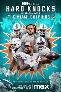 The Miami Dolphins Poster