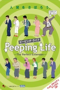 The Perfect Extension Poster