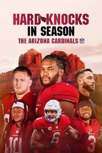 The Arizona Cardinals Poster