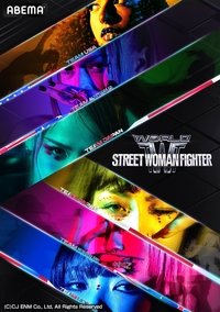 World of Street Woman Fighter Poster